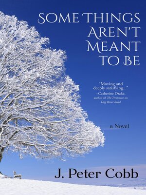 cover image of Some Things Aren't Meant to Be